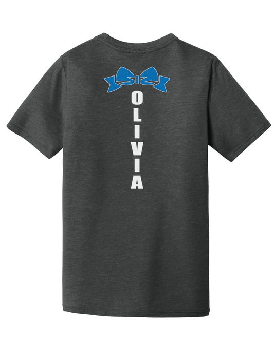 ***COMING SOON*** Panther Cheer Triblend Custom T-Shirt